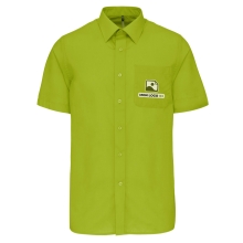 Vert Citron